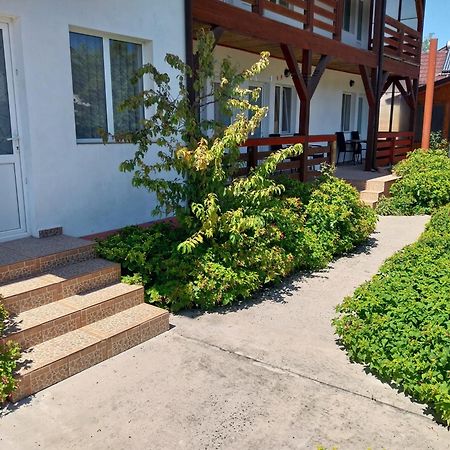 Casa Steaua De Mare Hotel Sulina Exterior photo